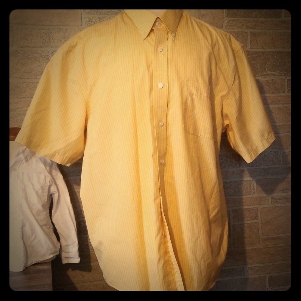 Eddie Bauer Stripped Dress Shirt Wrinkle Resist.